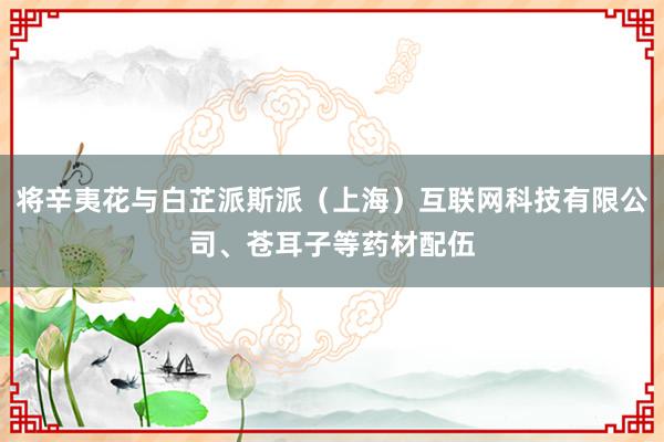 将辛夷花与白芷派斯派（上海）互联网科技有限公司、苍耳子等药材配伍