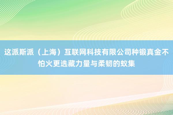 这派斯派（上海）互联网科技有限公司种锻真金不怕火更选藏力量与柔韧的蚁集