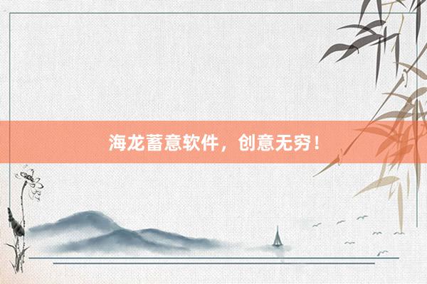 海龙蓄意软件，创意无穷！