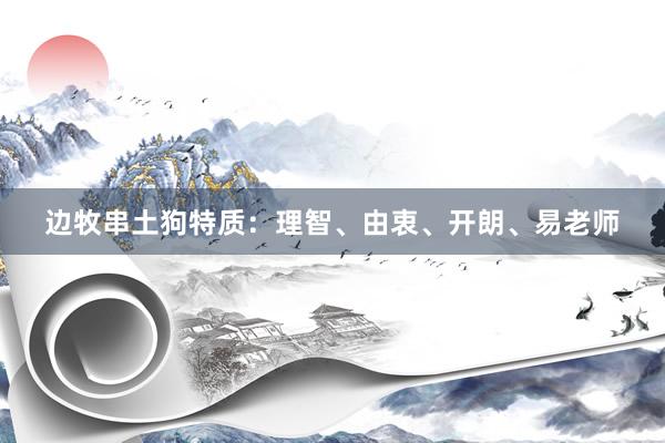 边牧串土狗特质：理智、由衷、开朗、易老师